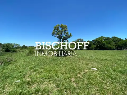 Quinta en Venta en General Madariaga, USD 260.000