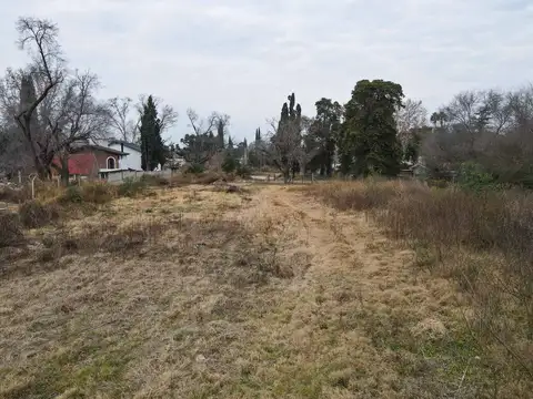 Saira