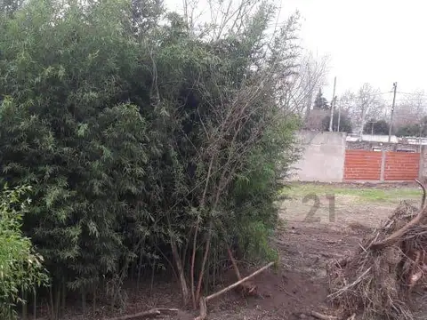 Terreno en Venta de 200,0 m2