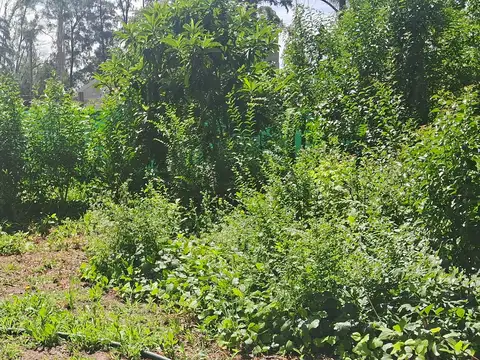 Casa en Venta en Francisco Alvarez, USD 68.900