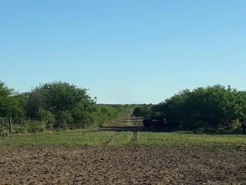 Campo en venta - 39.540.000Mts2 - La Pampa