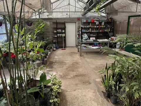 Terreno en Venta en Olivos, USD 175.000