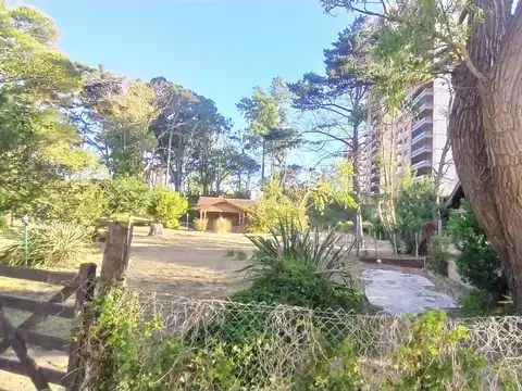 Alquiler Temp Casa 3 amb lote 3000m2 Zona Bosque C. Gesell