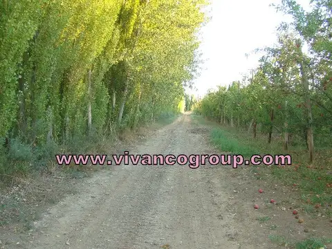 Campo en Venta de 31  ha