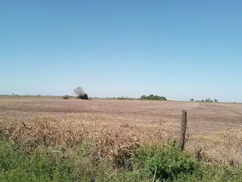 CAMPO EN ALDAO 7.3 hectáreas para emprendimiento a 600 metros del pueblo