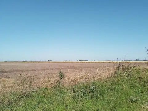 Lagomarsino 50 , Piso No definido