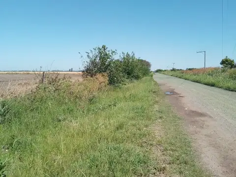 Lagomarsino 50