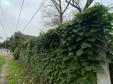 Av. 526 esq 30