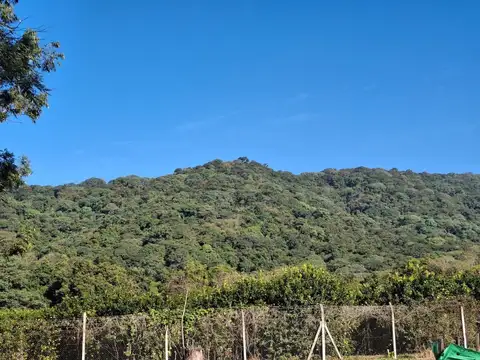 Terreno Aires de Pedemonte