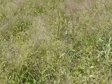 Terreno en Venta de 900,0 m2