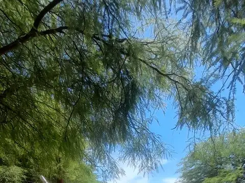 Lote en camino de la costa a 600m de Virg de Guada