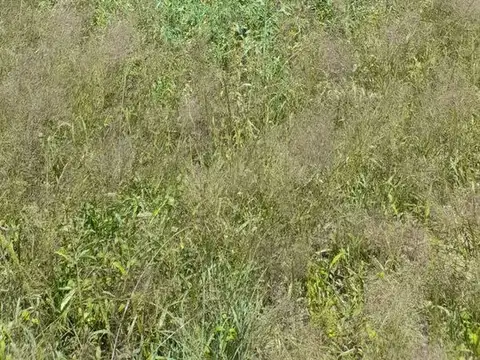 Terreno en Venta en Maco Yanda, USD 8.000