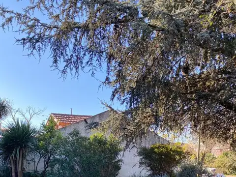 Terreno en Venta, FOT 1,5