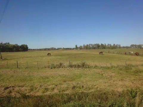 Terreno Campo  en Venta ubicado en Manzanares, Pilar, G.B.A. Zona Norte