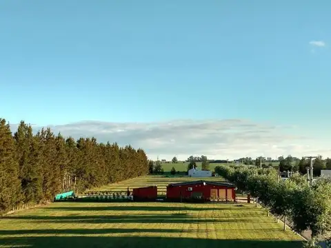 Terreno en Zavalla