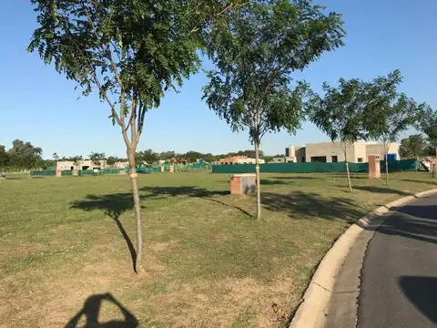 Leandro Niceforo Alem 3300