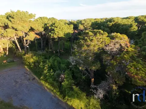Terreno en Venta en Pinamar, USD 90.000