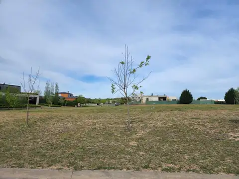 Lote en venta en Pilara El Tonó | VCO Propiedades