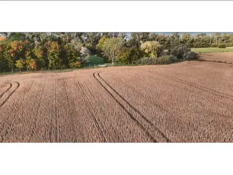 Terreno en Venta de 170,0 m2