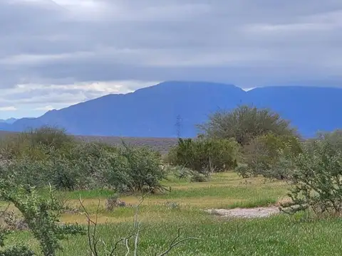 Ruta Nacional 40 100