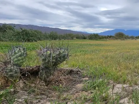 Ruta Nacional 40 100