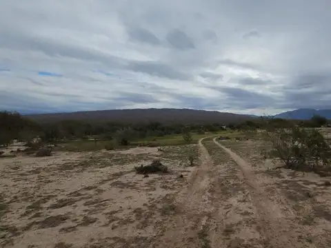 Ruta Nacional 40 100