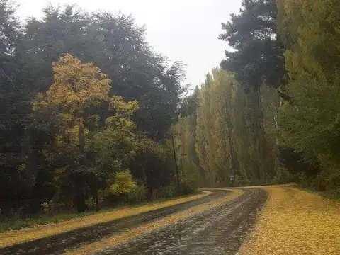 Terreno en Venta de 1283,0 m2