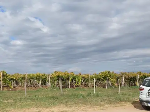 Terreno en Venta en Jocoli Viejo, USD 35.000