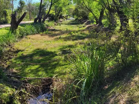Lotes Nautico Parana de las Palmas