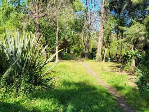 Jardin Nautico