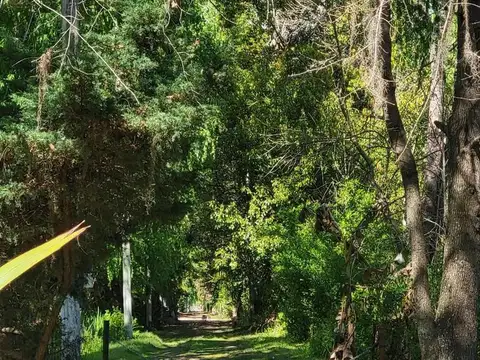 Campo en Venta de 0,10  ha