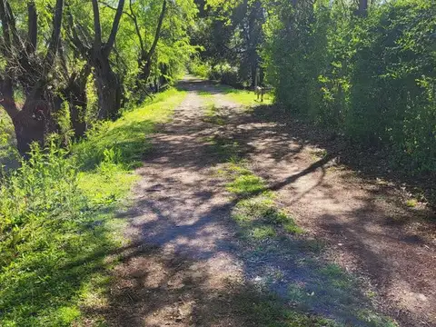 Lotes Nautico Parana de las Palmas