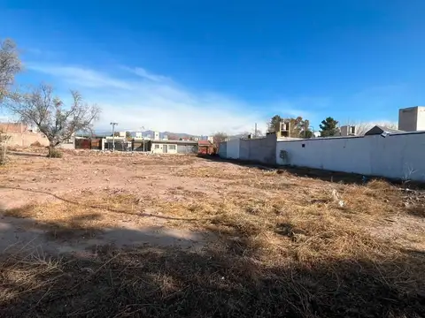 Terreno en Venta en Lujan de Cuyo, Luján de Cuyo