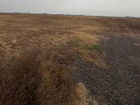 32,5 HREAS AGRICOLA/GANADERO-CAMINO A SAN EDUARDO