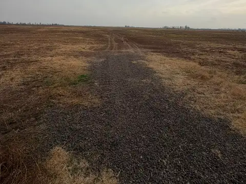 32,5 HREAS AGRICOLA/GANADERO-CAMINO A SAN EDUARDO