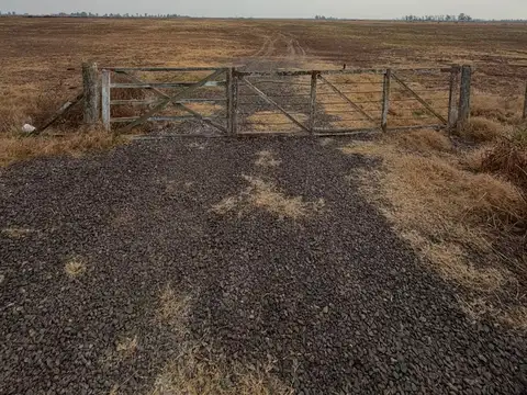 32,5 HREAS AGRICOLA/GANADERO-CAMINO A SAN EDUARDO