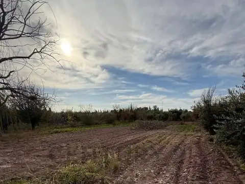 Terreno en Venta 118  mts Frente