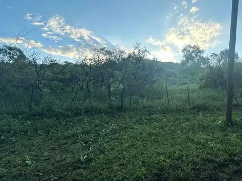 SALSIPUEDES AV SABATTINI 2800