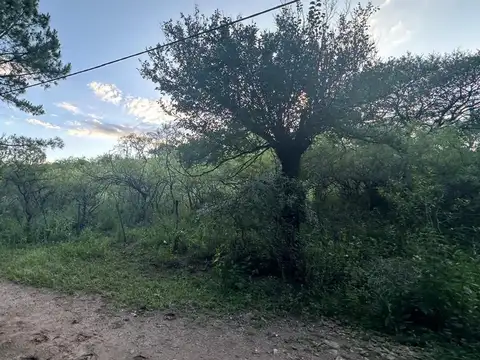 Terreno en Venta de 2314,0 m2