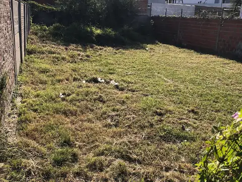 Islas Malvinas al 2500