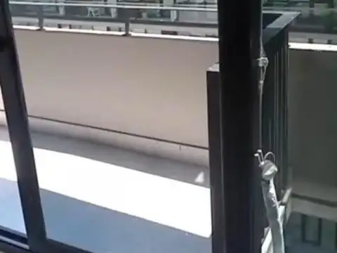 Departamento en Alquiler en Puerto Madero, USD 1.400