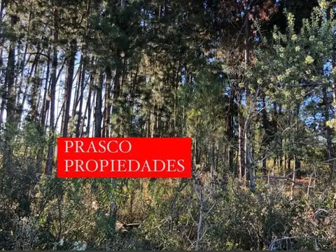 Terreno en Venta en Colon, USD 16.000