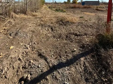 Terreno en Venta de 300,0 m2