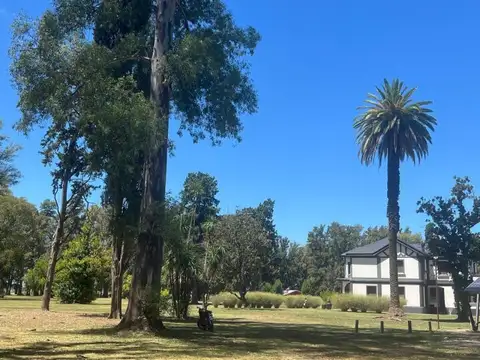 TRES PINOS - VILLA DE CAMPO