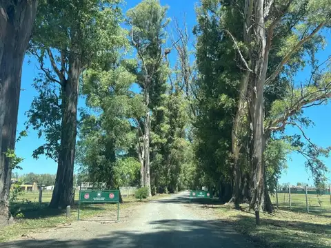 Terreno en Venta en General Rodriguez, USD 15.000