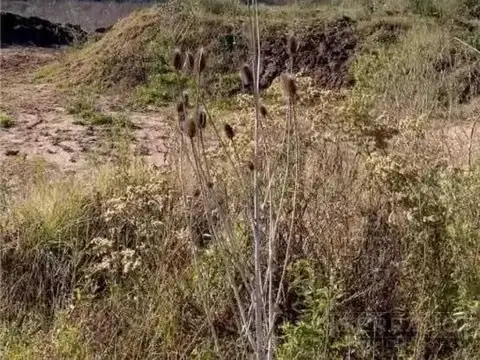 MMP. Venta Campo 17,2 Ha. Belen de Escobar, Loma Verde