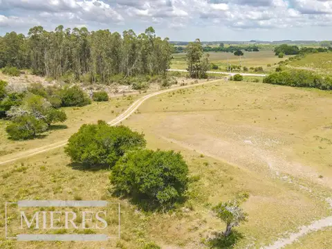 Chacra con casa de 5ha en Pueblo Edén ruta 12