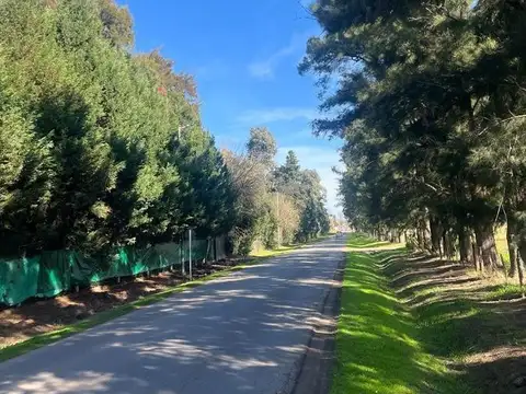 Terreno en Venta en Cortines, USD 48.000