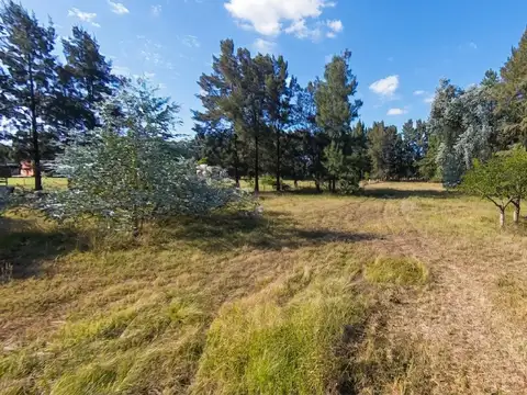 Venta lote n° 47 de 1.400 m² en San Vicente