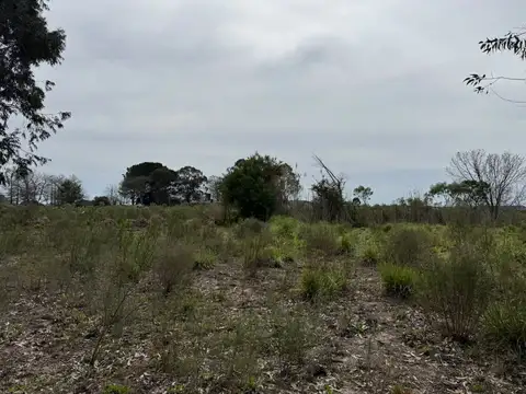 CHACRA EN VENTA - 4 HA - CANELON CHICO